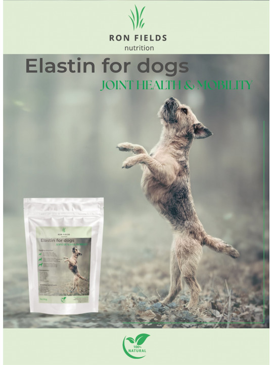 Elastin for Dogs