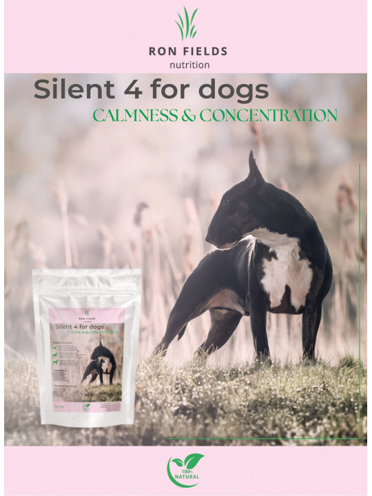 Silent 4 for Dogs