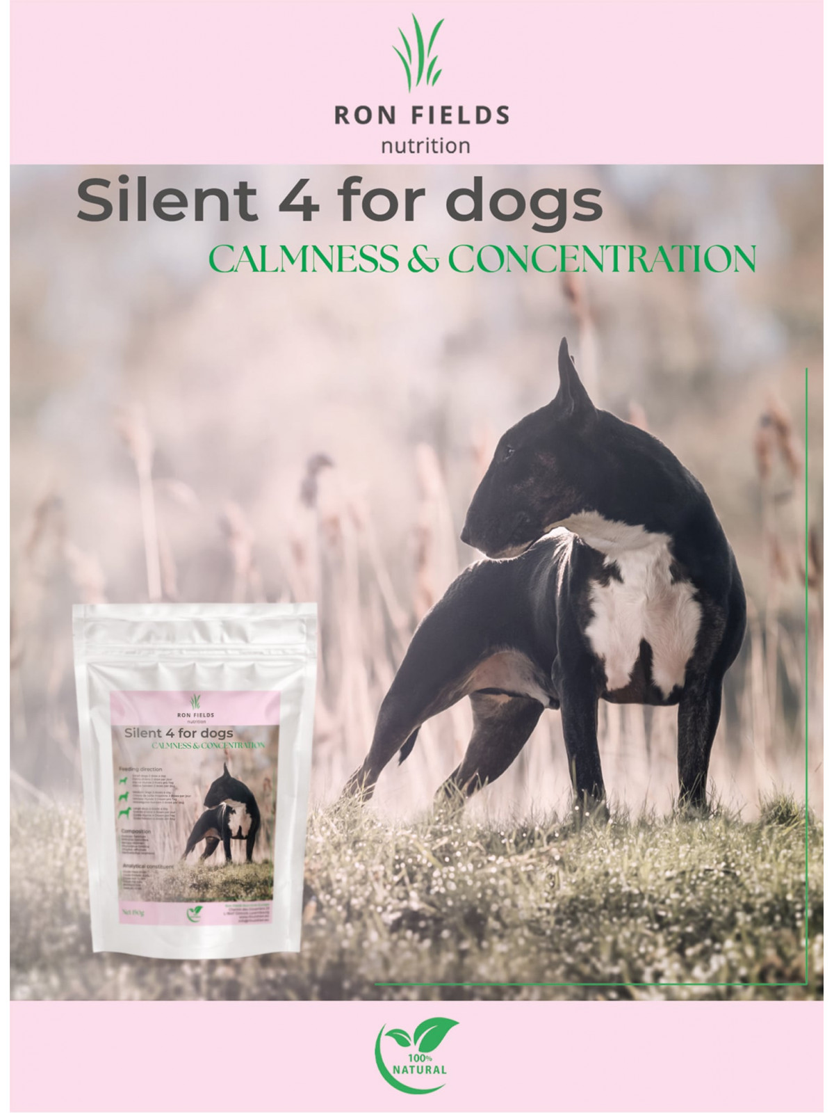 Silent 4 for Dogs