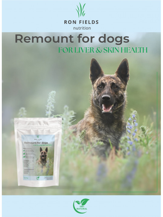 Remount for Dogs