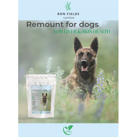 Remount for Dogs