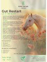 GUT RESTART