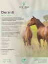 DermX